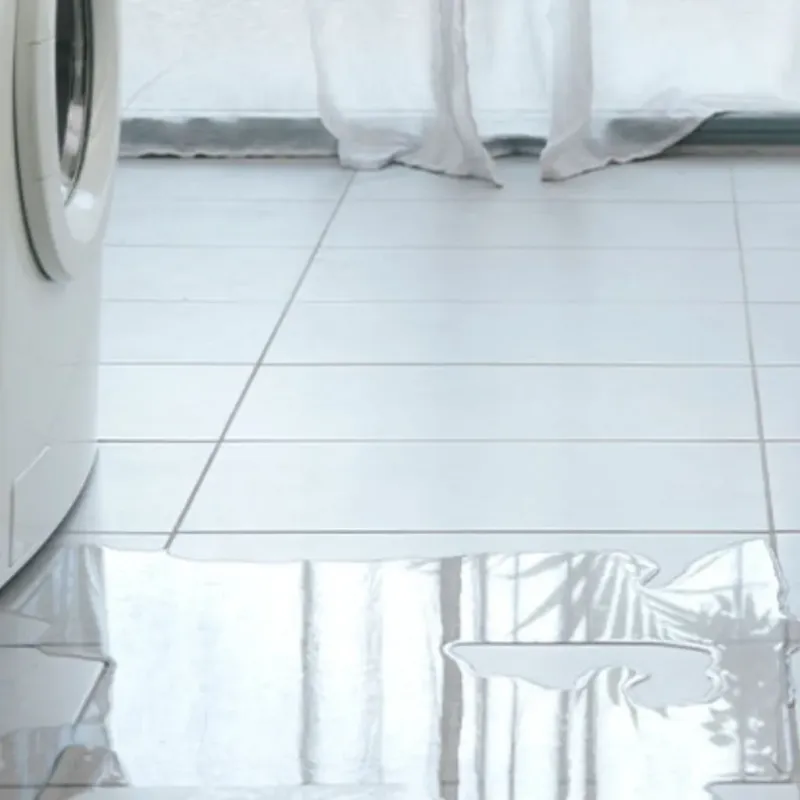 Appliance Leak Cleanup in Mabscott, WV