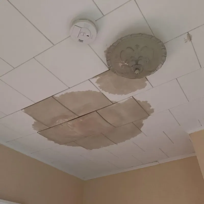 Ceiling Water Damage Repair in Mabscott, WV