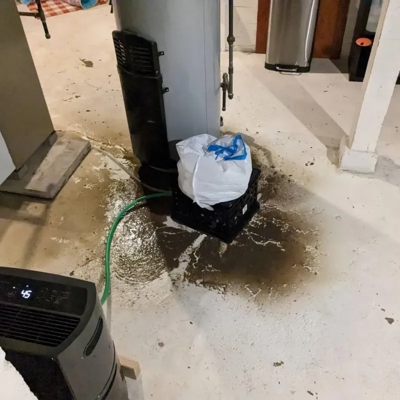 Sewage Backup Cleanup Service in Mabscott, WV